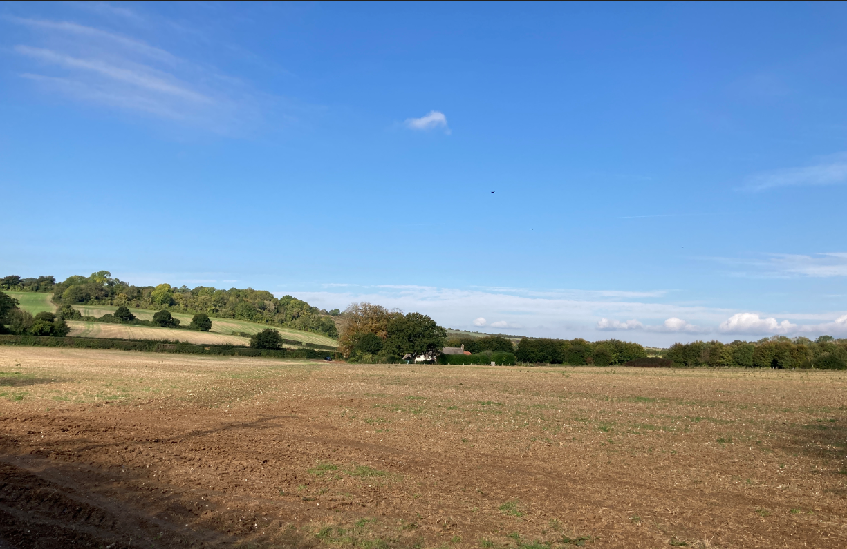 scene of open countryside