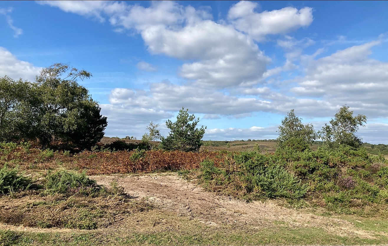 Open countryside and blue sky