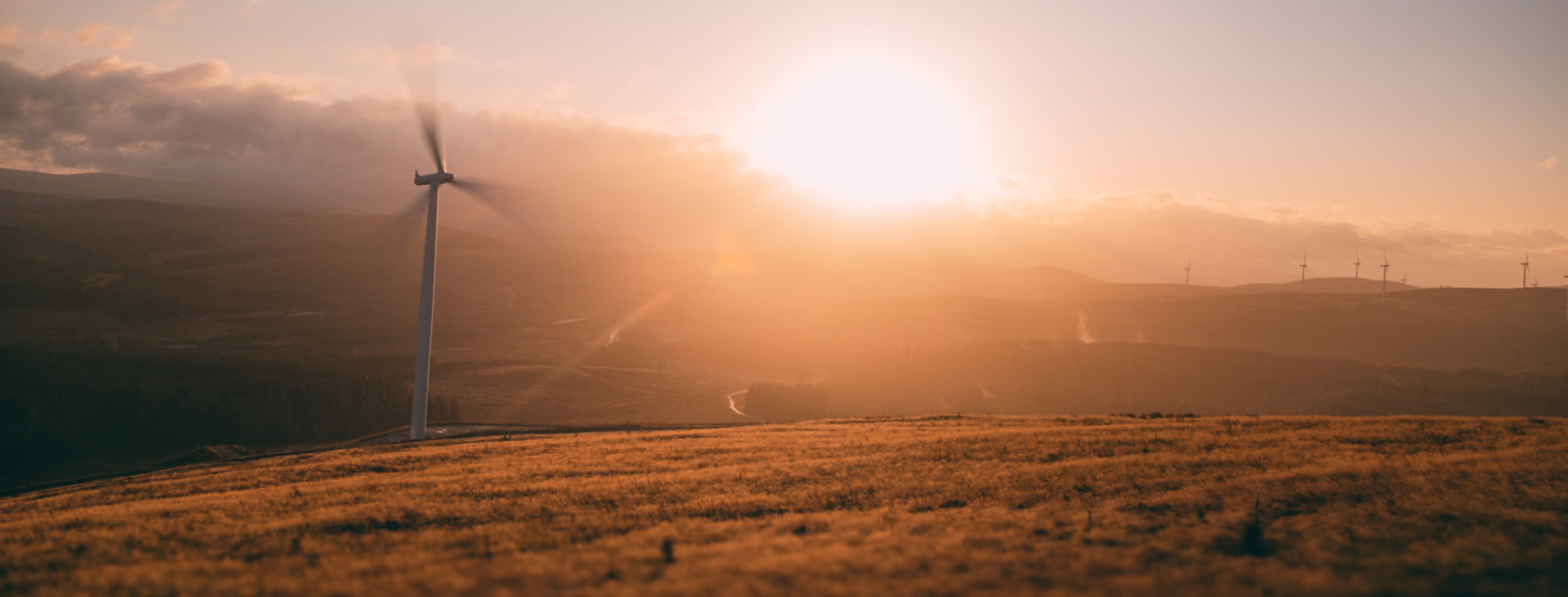 Overview of wind farm, solar farm expanding in the distance with a bright, blaring sun in the background.