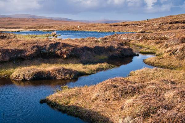 Image of peatland 