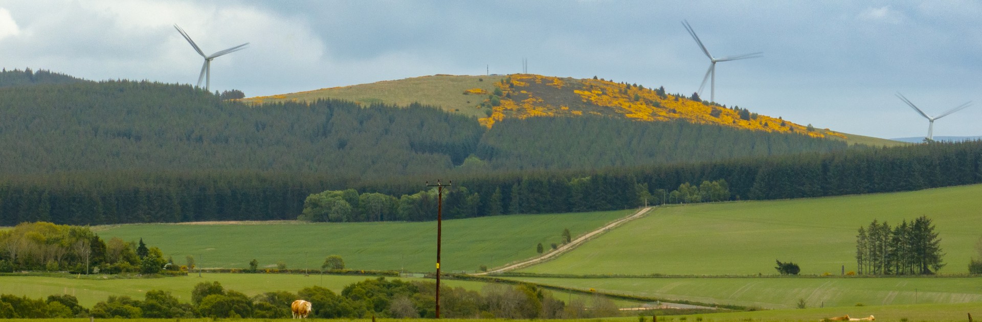 Landscape overview of Buckie in Scotland.