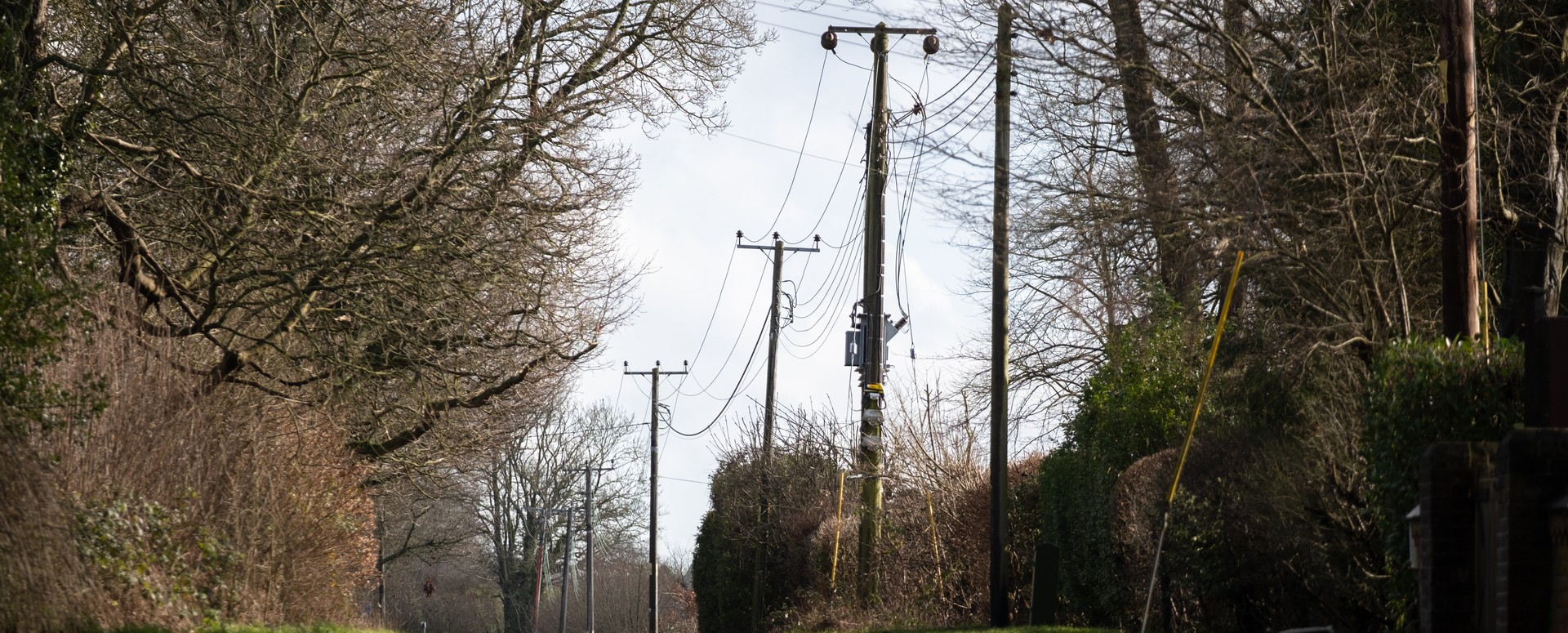 Generic picture of HV Lines, trees and shrubs to the sides of image.